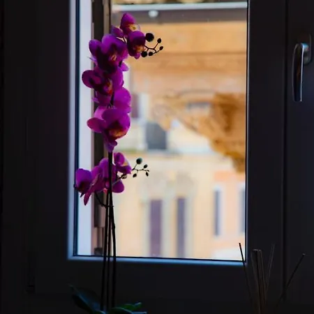 Bed & Breakfast Rhome Luxury 4*
