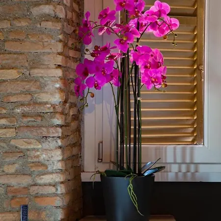 Rhome Luxury Rome