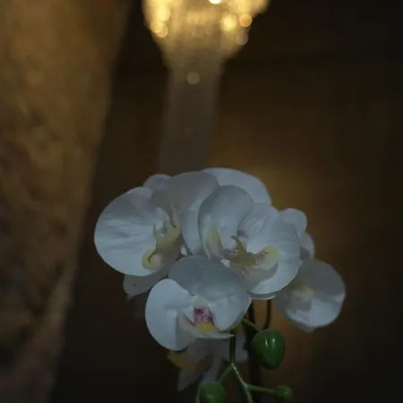 Rhome Luxury 4* روما