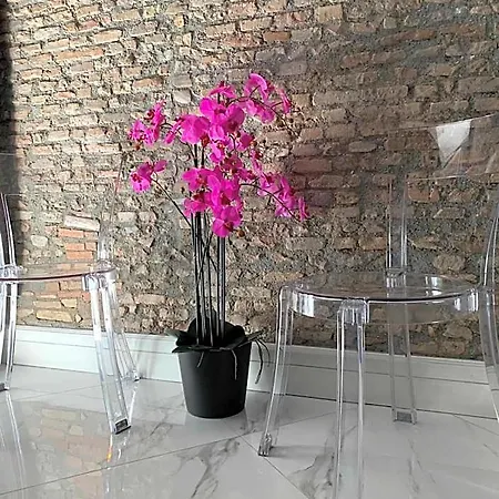 Rhome Luxury Roma