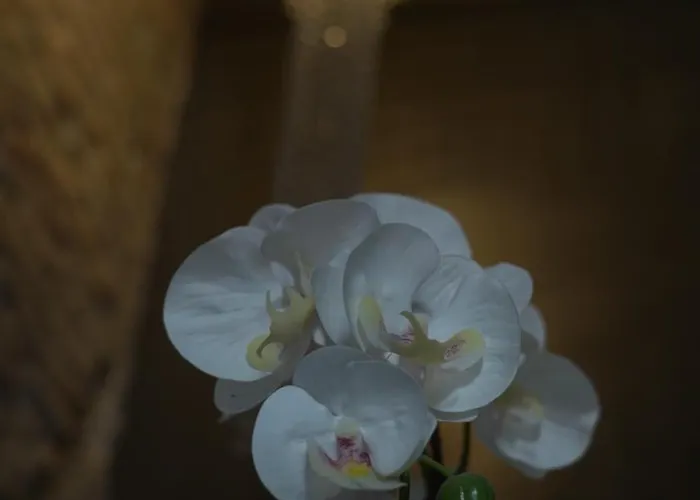 Rhome Luxury 4* Roma